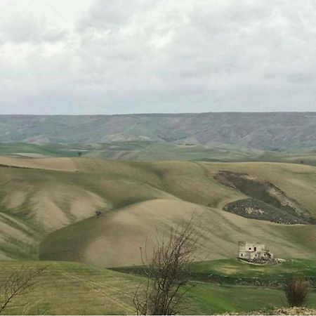 B&B Mantegna Irsina Mt Екстер'єр фото