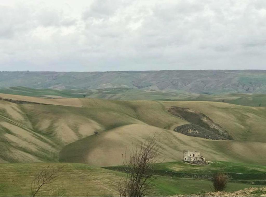 B&B Mantegna Irsina Mt Екстер'єр фото